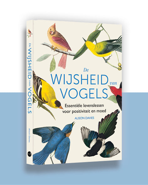 De wijsheid van vogels