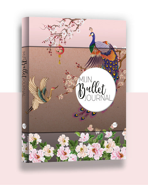 Mijn Bullet Journal Japan